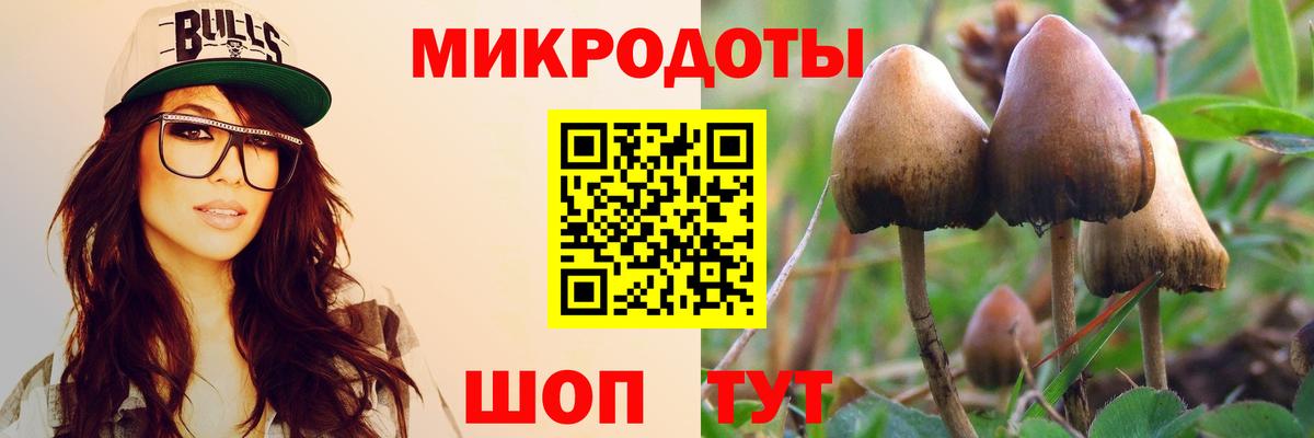 Донской  Псилоцибиновые грибы Magic Shrooms  Галлюциногенные грибы ЛСД  Вход с VPN 